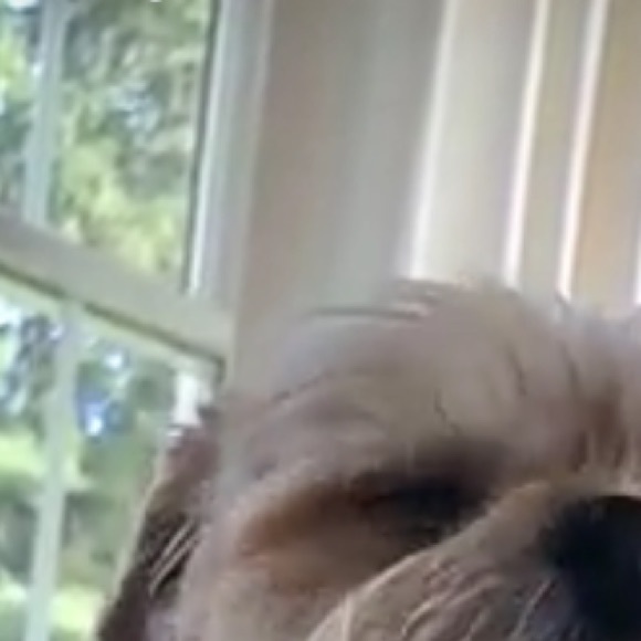 Meet your Posher, Jillian - Picture 1 of 1